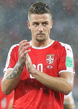 С. Милинкович-Савич
